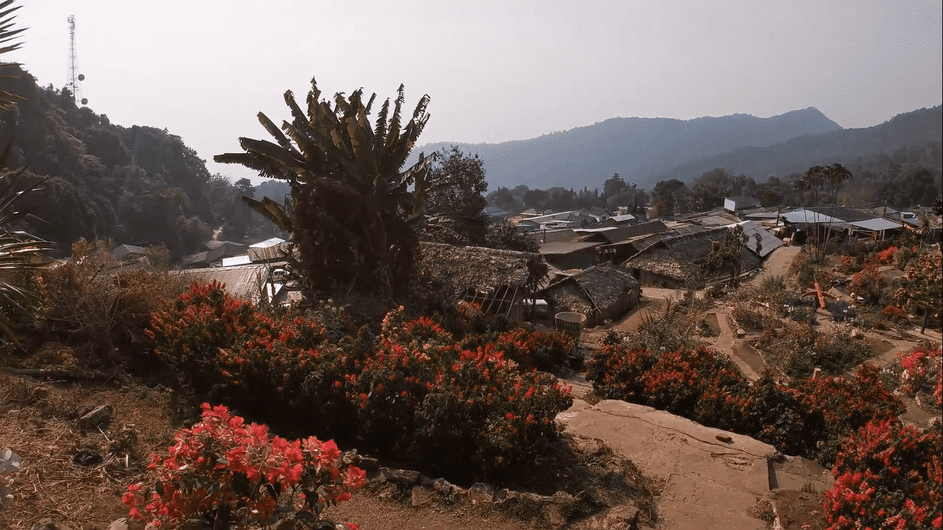 A variety of blooming flowers at the Hmong Hill Tribe Village