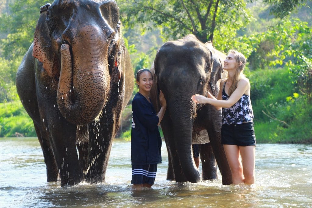 elephant sanctuary & jungle travel chiangmai tailand tour trekking